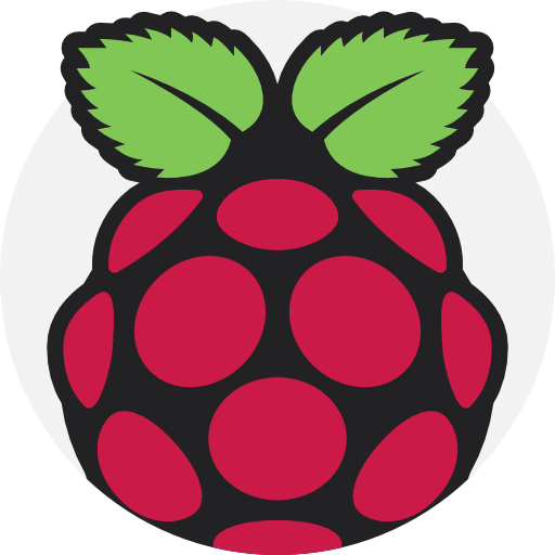 Raspberry Pi icon